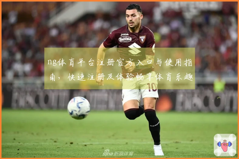 ng体育平台注册官方入口与使用指南，快速注册及体验畅享体育乐趣