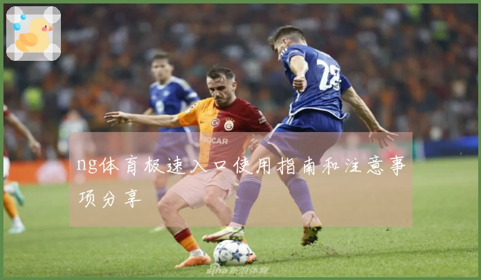 ng体育极速入口使用指南和注意事项分享