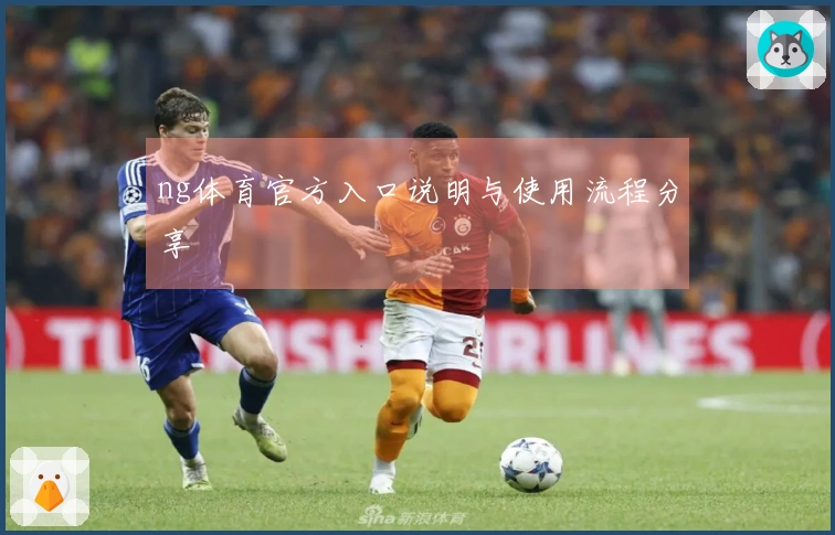 ng体育官方入口说明与使用流程分享
