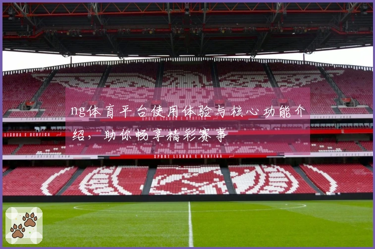 ng体育平台使用体验与核心功能介绍，助你畅享精彩赛事