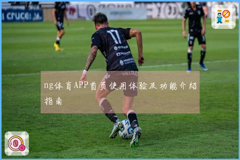 ng体育APP首页使用体验及功能介绍指南