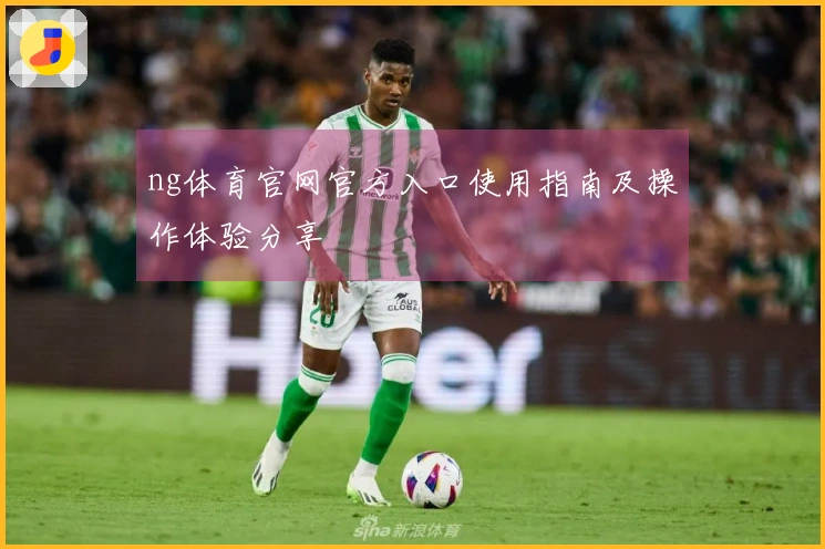 ng体育官网官方入口使用指南及操作体验分享