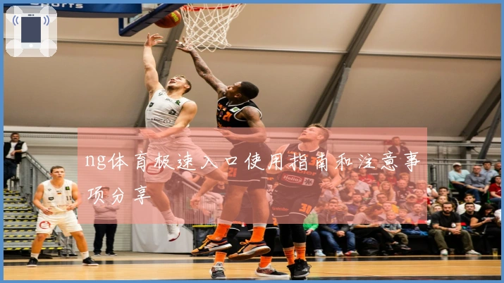 ng体育极速入口使用指南和注意事项分享