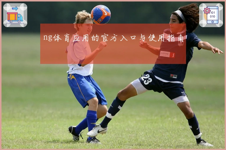 ng体育应用的官方入口与使用指南