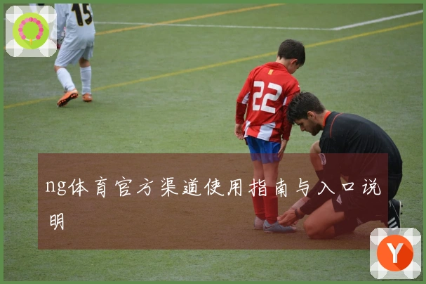 ng体育官方渠道使用指南与入口说明