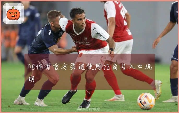 ng体育官方渠道使用指南与入口说明