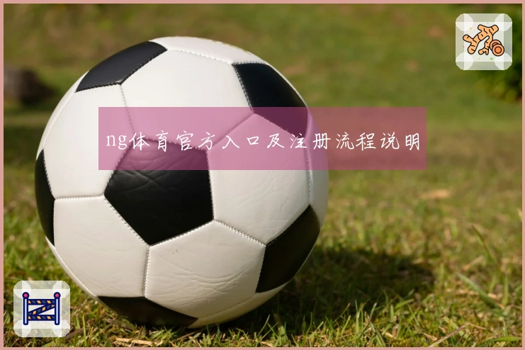 ng体育官方入口及注册流程说明