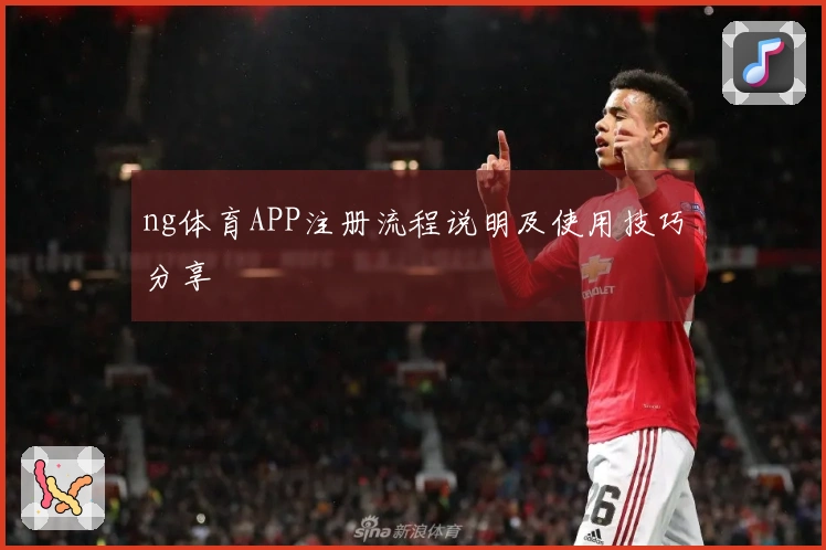 ng体育APP注册流程说明及使用技巧分享