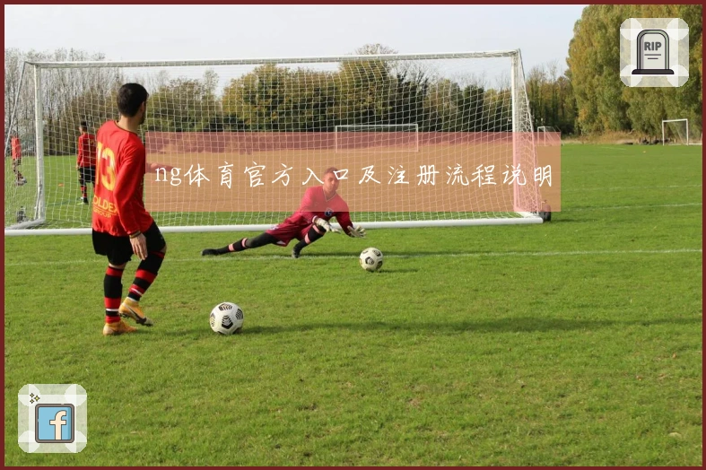 ng体育官方入口及注册流程说明