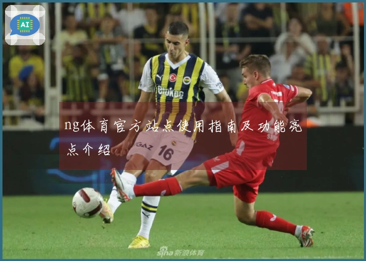 ng体育官方站点使用指南及功能亮点介绍