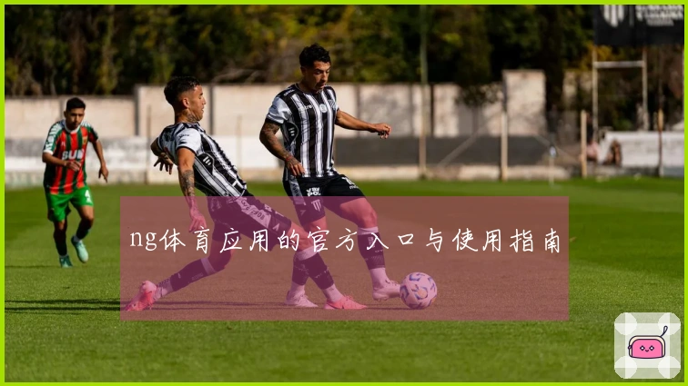ng体育应用的官方入口与使用指南