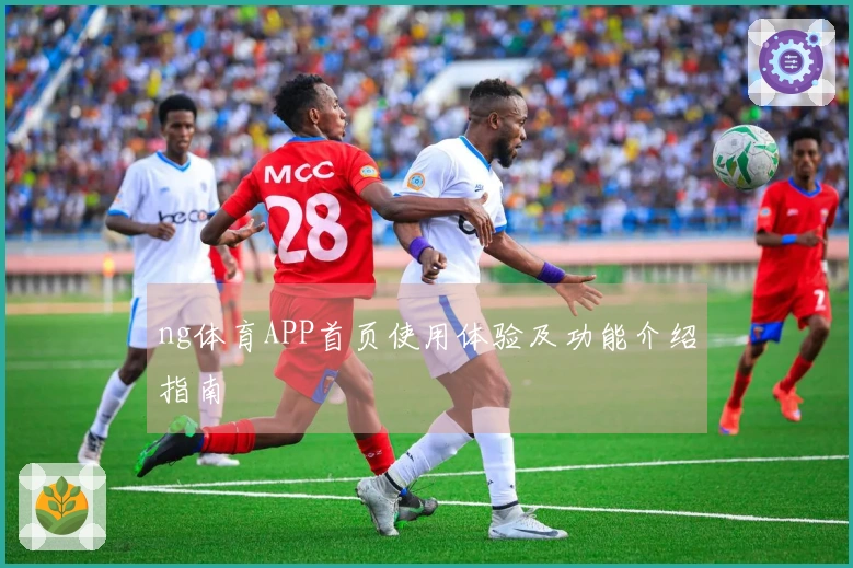 ng体育APP首页使用体验及功能介绍指南